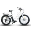 Coastal Cruiser Step Thru 26×4 52V/21Ah 750W Electric Bike