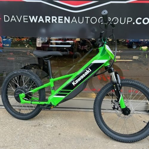 2025 Kawasaki Elektrode 20