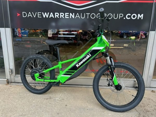 2025 Kawasaki Elektrode 20
