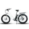 Coastal Cruiser Step Thru 26×4 52V/21Ah 750W Electric Bike