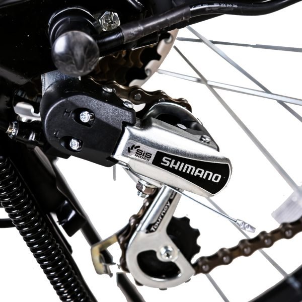 240A0623_1024x1024_0cda6362-2c6e-41af-94f3-b28be358d927 NAKTO Camel 36V/10Ah 250W/350W Electric Bike