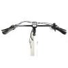 Coastal Cruiser Step Thru 26×4 52V/21Ah 750W Electric Bike