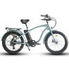 27_8f4eb231-fb37-4c91-acdc-a079ca5871dd Coastal Cruiser Step Over 24×3 52V/17Ah 750W Electric Bike