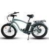 28_a06e2d82-10c3-4106-88d2-c75ce7157dd8 Coastal Cruiser Step Over 24×3 52V/17Ah 750W Electric Bike