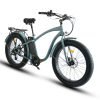 Coastal Cruiser Step Over 26×4 52V/21Ah 750W Electric Bike