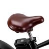 2_1024x1024_17ad2b98-b25d-4cf4-b6f8-f65229839933 NAKTO Cruiser 2 48V/12Ah 750W Fat Tire Electric Bike