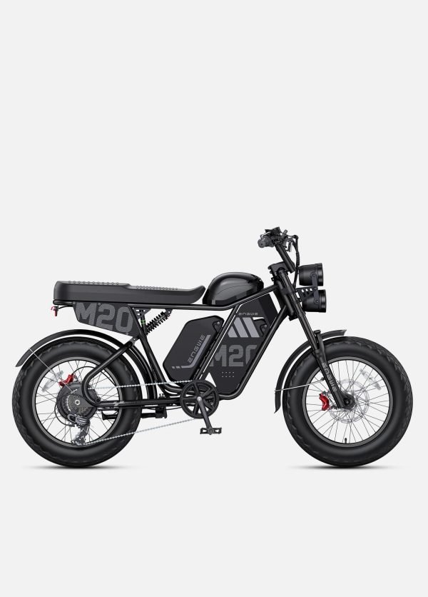 2_16431bcd-6c39-47d4-b9ac-7326dfa4bbdf ENGWE M20 3.0 60V 20Ah/40Ah 3300W Electric Bike