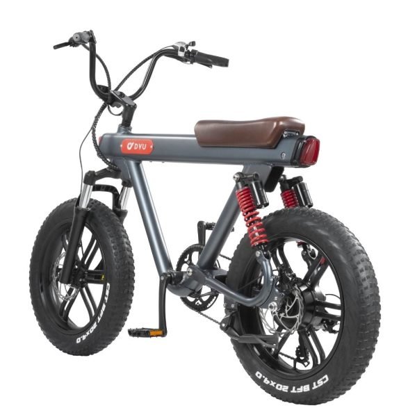 DYU V8 48V/15.5Ah 750W Electric Bike