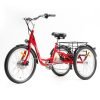 2_474a5ca1-5f2e-4872-82d1-7f269c7ef18d DWMEIGI Hera MG708 36V/13Ah 350W Step-Thru Electric Trike