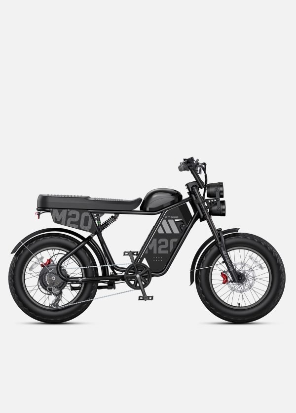 2_ae6eea25-c96f-4ddc-894f-4cf9a5d7c2cb ENGWE M20 3.0 60V 20Ah/40Ah 3300W Electric Bike