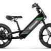 2025 Kawasaki Elektrode 16