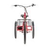 3 DWMEIGI Hera MG708 36V/13Ah 350W Step-Thru Electric Trike