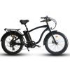 33_f0c6af64-8806-4939-9d5f-fad72694081c Coastal Cruiser Step Over 24×3 52V/17Ah 750W Electric Bike