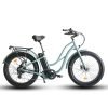 Coastal Cruiser Step Thru 26×4 52V/21Ah 750W Electric Bike