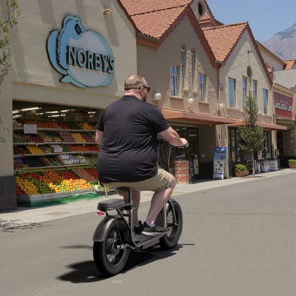 3_2048x2048_540512b8-1304-446e-8b7f-394ef07fe6b0 Hiboy U2 Pro 48V/13Ah 750W Electric Scooter