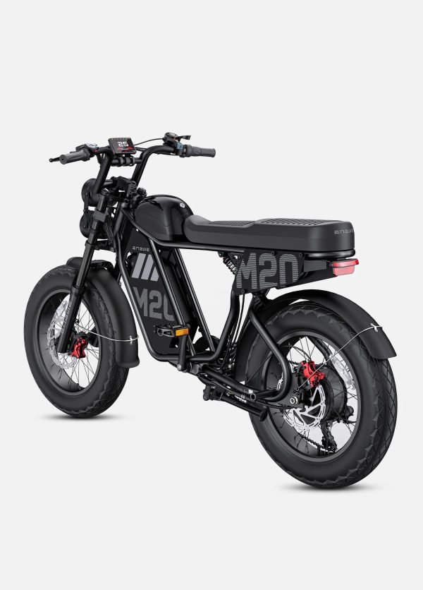 3_3456c4bf-1947-4c18-9539-2028c4d809c2 ENGWE M20 3.0 60V 20Ah/40Ah 3300W Electric Bike