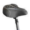 Coastal Cruiser Step Over 26×4 52V/21Ah 750W Electric Bike