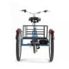 3_b6e58e46-4b32-4688-957d-1f866aaeb851 DWMEIGI Hera MG708 36V/13Ah 350W Step-Thru Electric Trike