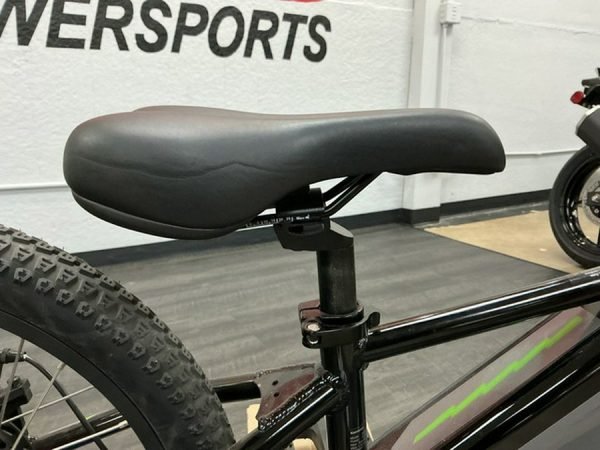2025 Kawasaki Elektrode 20