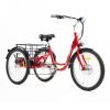 4 DWMEIGI Hera MG708 36V/13Ah 350W Step-Thru Electric Trike