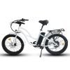 Coastal Cruiser Step Thru 24×3 52V/17Ah 750W Electric Bike
