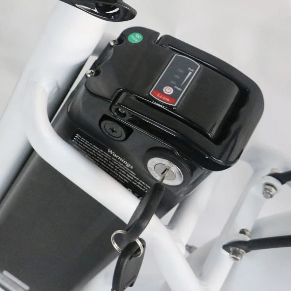 Coastal Cruiser Step Thru 24×3 52V/17Ah 750W Electric Bike