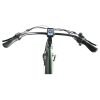 49_c2ae6fde-6e9a-4557-b81a-51fddd9f2278 Coastal Cruiser Step Over 24×3 52V/17Ah 750W Electric Bike