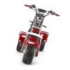 4_1080x_f47a1d84-4caa-4f6b-b0b8-53988c7ce1aa SoverSky T7.4 60V/40Ah 4000W Electric Swing Trike