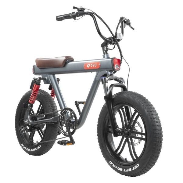 DYU V8 48V/15.5Ah 750W Electric Bike