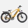 4_2048x2_39f8023e-7aa3-483b-b52f-662a0ad35a56-scaled-1 ENGWE E26 48V/16Ah 750W Electric Bike