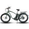 Coastal Cruiser Step Over 26×4 52V/21Ah 750W Electric Bike