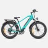 5_2048x2_72d89ba0-5c0d-4744-9ca6-0cbc19135fd2-scaled-1 ENGWE E26 48V/16Ah 750W Electric Bike