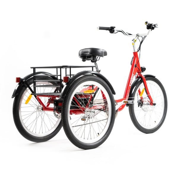 6 DWMEIGI Hera MG708 36V/13Ah 350W Step-Thru Electric Trike