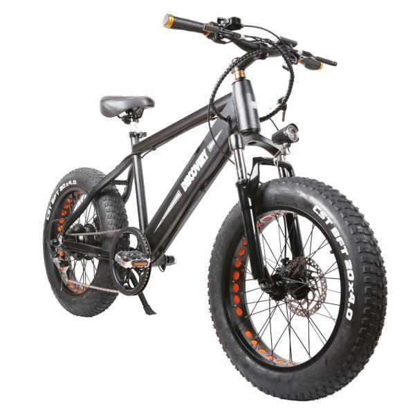 6_1024x1024_1bd291c9-a998-44fa-8b0a-a8ca160ea59d NAKTO Discovery 48V/10Ah 350W Fat Tire Electric Bike