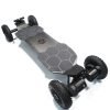 Raldey Wasp Electric Mountainboard