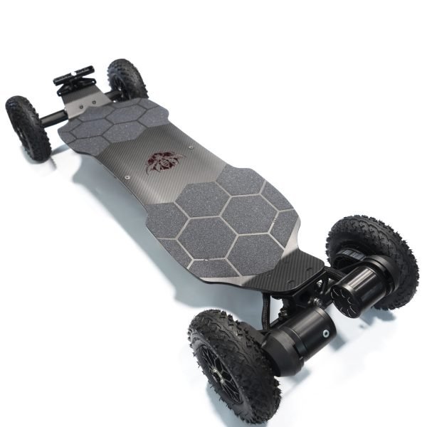 Raldey Wasp Electric Mountainboard