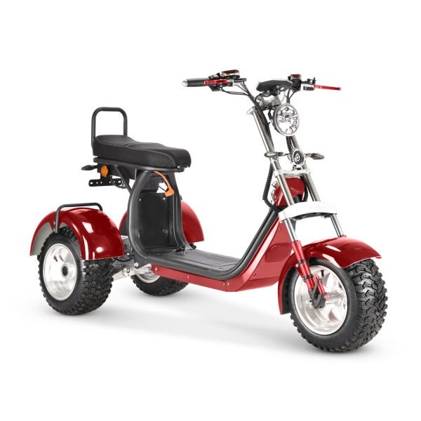 6_1080x_4aee1cb5-5ed7-4f02-95a7-c0cab19c110f SoverSky T7.4 60V/40Ah 4000W Electric Swing Trike