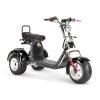 6_1080x_5475978e-b987-401a-8aba-2bce8389f27b SoverSky T7.4 60V/40Ah 4000W Electric Swing Trike