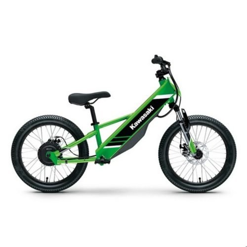 2026 Kawasaki Elektrode 20 - Lime Green