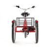 7 DWMEIGI Hera MG708 36V/13Ah 350W Step-Thru Electric Trike