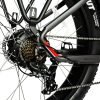 DWMEIGI Pegasus 48V/16Ah 750W Fat Tire Electric Bike