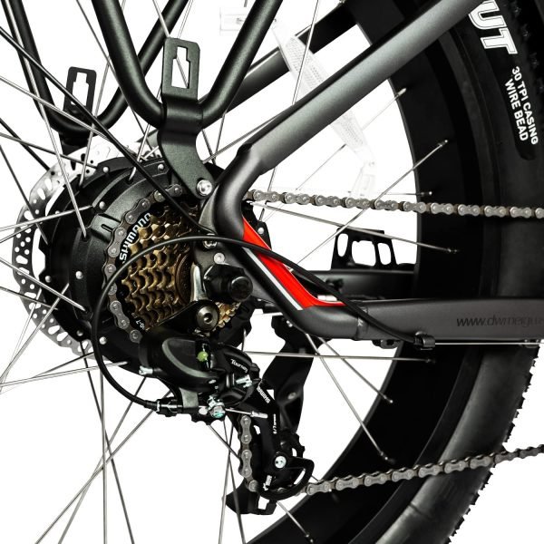 DWMEIGI Pegasus 48V/16Ah 750W Fat Tire Electric Bike