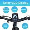 DWMEIGI Pegasus 48V/16Ah 750W Fat Tire Electric Bike
