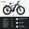 DWMEIGI Pegasus 48V/16Ah 750W Fat Tire Electric Bike