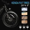 DWMEIGI Pegasus 48V/16Ah 750W Fat Tire Electric Bike