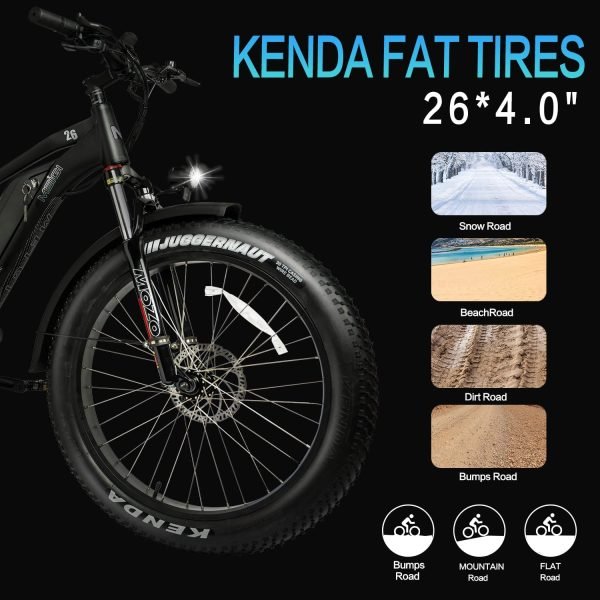 DWMEIGI Pegasus 48V/16Ah 750W Fat Tire Electric Bike