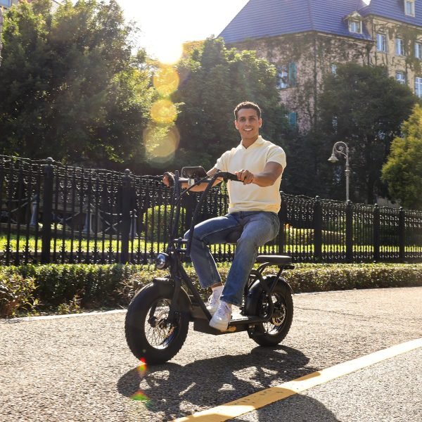 7_2048x2048_ac6fe810-0146-4112-9da9-b09748c3c2af Hiboy U2 Pro 48V/13Ah 750W Electric Scooter