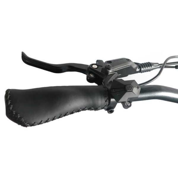 Coastal Cruiser Step Thru Mini 20×4 52V/17Ah 750W Electric Bike