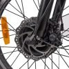 NAKTO S02 48V/16Ah 500W Electric Trike