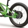 2025 Kawasaki Elektrode 20